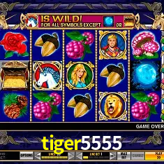 tiger5555 Salvador - Bonus Stats