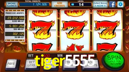 A Experiência Imersiva dos Cassinos Ao Vivo no tiger5555